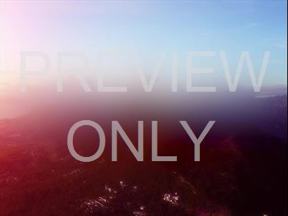 NEW BEGINNING BRIGHT STILL