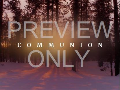 NEW BEGINNING COMMUNION STILL