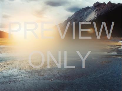 NEW BEGINNING SOAR STILL