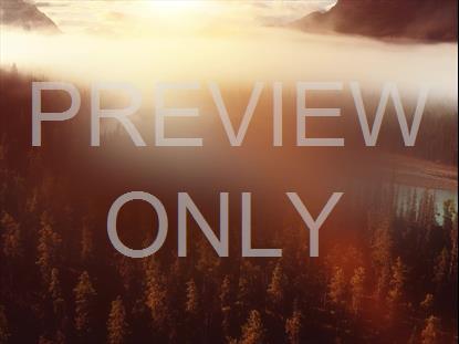 NEW BEGINNING VISTA STILL