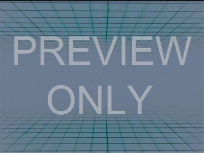 NULLWAVE ENDLESS ALT STILL