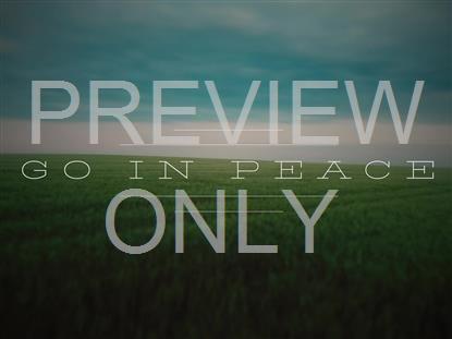 OPEN FIELDS EXIT STILL