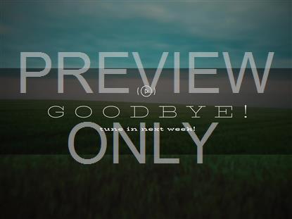 OPEN FIELDS EXIT STREAM STILL