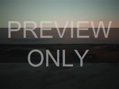 OPEN FIELDS MISTY MORNING BOX STILL