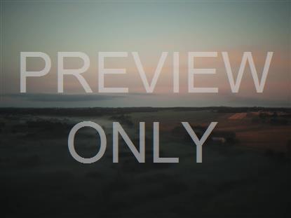 OPEN FIELDS MISTY MORNING STILL