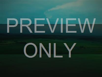 OPEN FIELDS MOODY GREEN BOX STILL