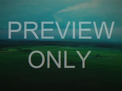 OPEN FIELDS MOODY GREEN STILL