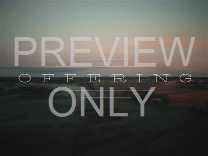 OPEN FIELDS OFFERING STILL