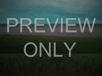 OPEN FIELDS STRAFE STILL