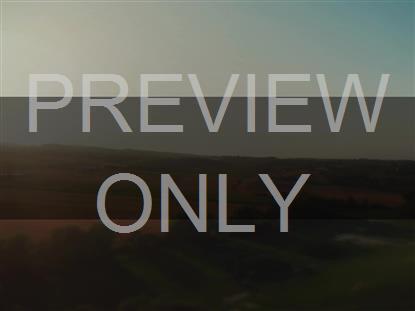 OPEN FIELDS SWEEP BOX STILL