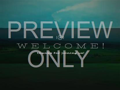 OPEN FIELDS WELCOME STREAM STILL