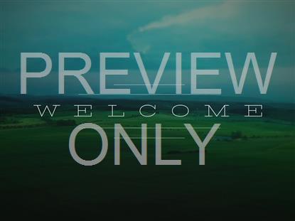 OPEN FIELDS WELCOME STILL