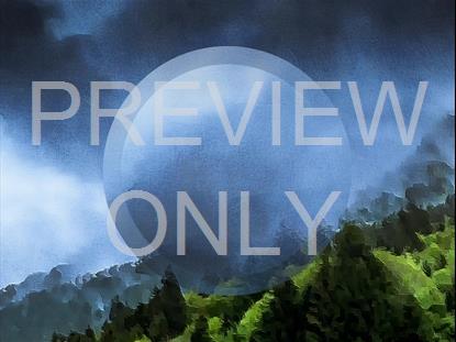 PAINTED NATURE FOG ALT STILL