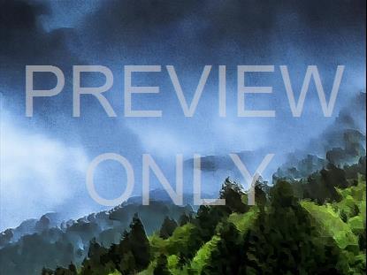 PAINTED NATURE FOG STILL