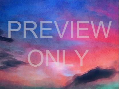 PAINTED NATURE PAINTS STILL