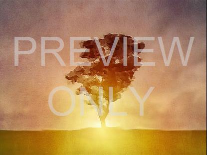 PAINTED NATURE TREE STILL