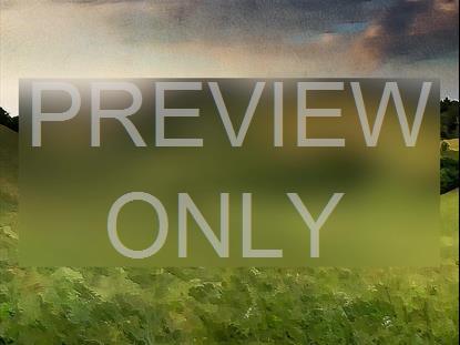 PAINTED NATURE VALLEY ALT STILL