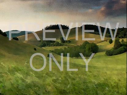 PAINTED NATURE VALLEY STILL