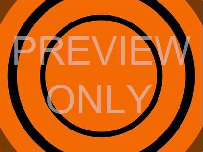 RADIATE ORANGE STILL