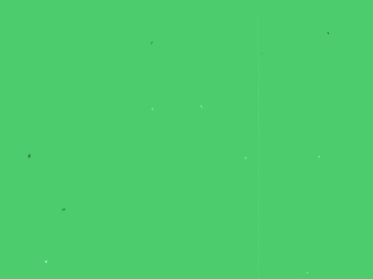 SIMPLE GREEN VINTAGE REEL STILL