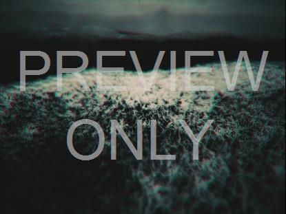 STARK SAND DARK BEACH STILL