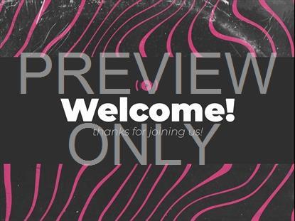 STEEPLES WELCOME STREAM STILL