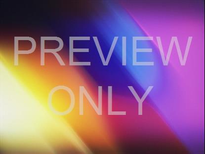 SUBTLE LIGHT BOLD STILL