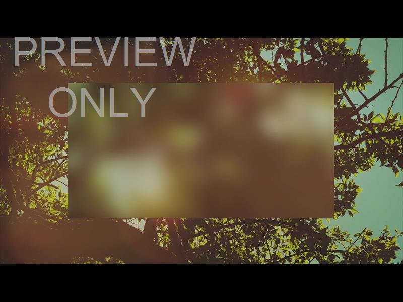 SUMMER BRIGHT BRANCHES ALT STILL