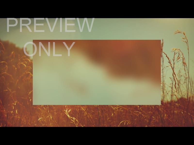 SUMMER BRIGHT GRASSES ALT STILL