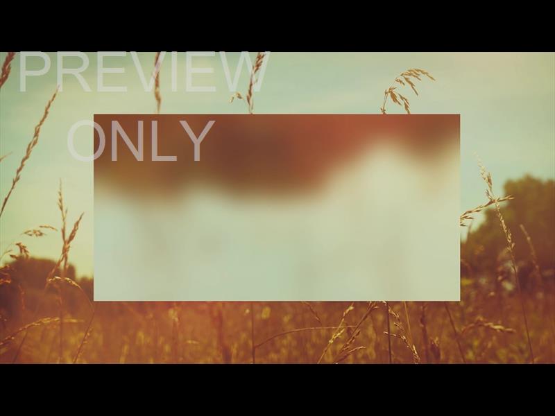 SUMMER BRIGHT WHEAT ALT STILL