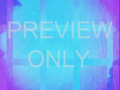 SUMMER VIBES COOL TONE ALT STILL