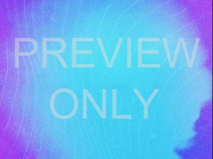 SUMMER VIBES COOL TONE STILL