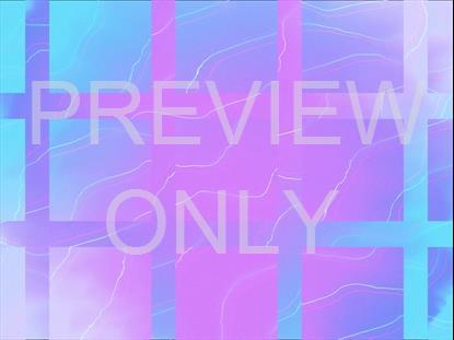 SUMMER VIBES DAPPLED ALT STILL