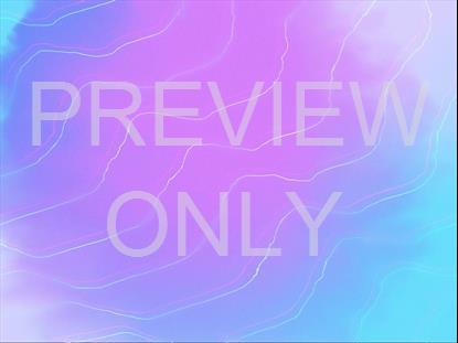 SUMMER VIBES DAPPLED STILL