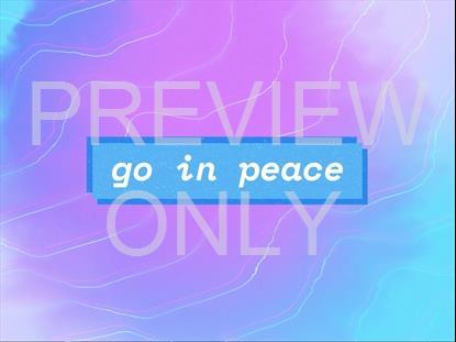 SUMMER VIBES EXIT STILL