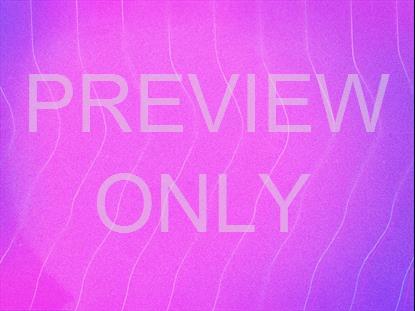 SUMMER VIBES PINK STILL