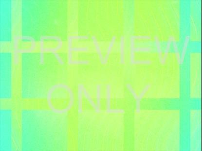 SUMMER VIBES TEAL ALT STILL