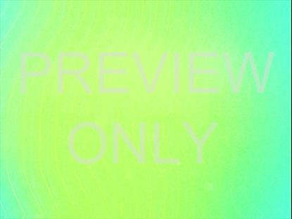 SUMMER VIBES TEAL STILL