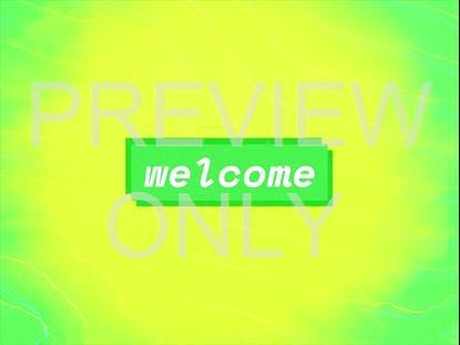 SUMMER VIBES WELCOME STILL