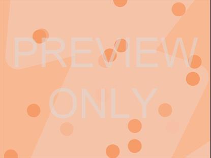 SUPER MOMS GROUP BLANK STILL