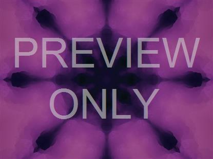 TERRAIN THEORY MISTY ALT STILL