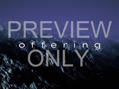 TERRAIN THEORY OFFERING STILL