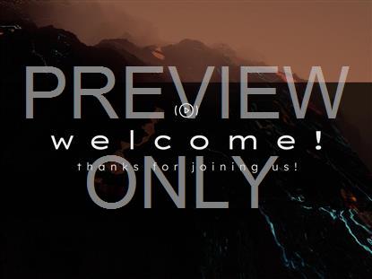 TERRAIN THEORY WELCOME STREAM STILL