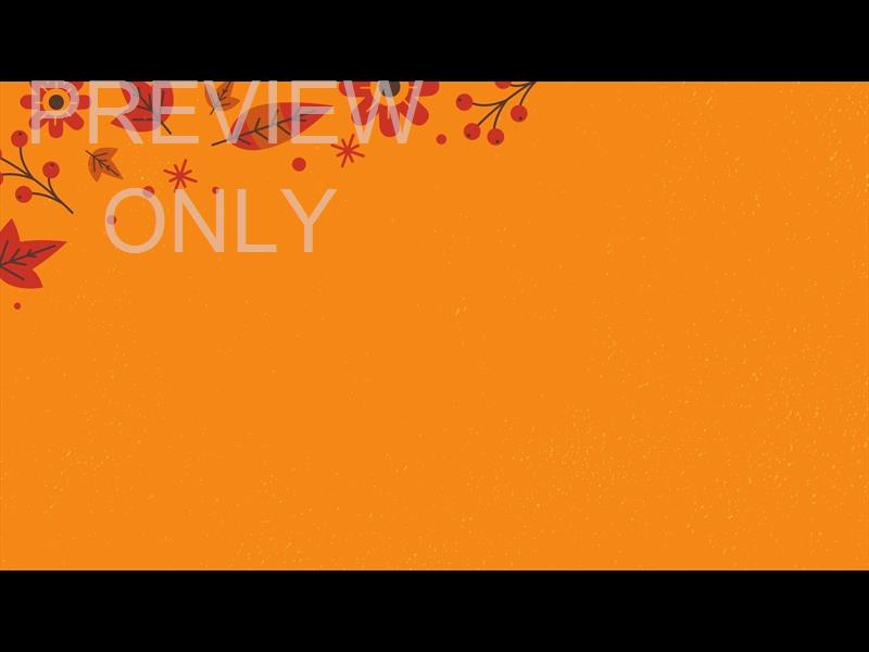 THANKSGIVING LEAVES YELLOW STILL