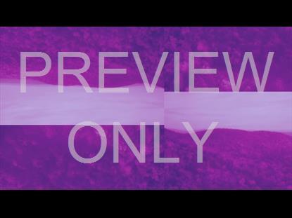 THANKSGIVING FLIGHT AUTUMN ALT STILL