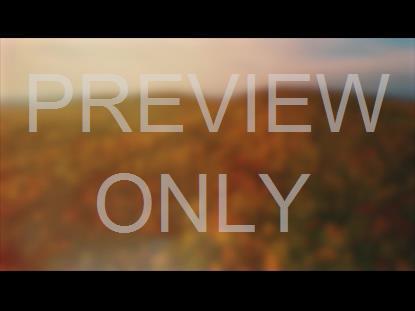 THANKSGIVING FLIGHT AUTUMN BLUR STILL