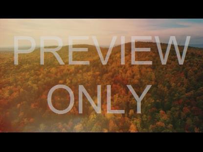 THANKSGIVING FLIGHT AUTUMN STILL