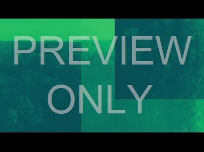 THANKSGIVING FLIGHT FOREST ALT STILL