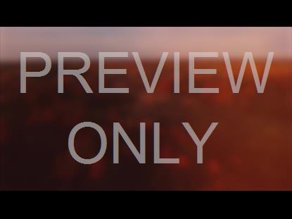 THANKSGIVING FLIGHT FOREST BLUR STILL