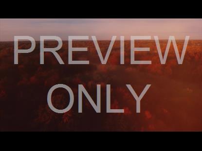 THANKSGIVING FLIGHT FOREST STILL